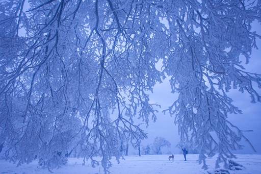 image004.jpg