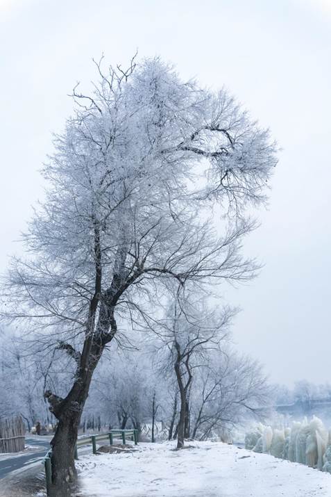 image040.jpg