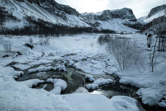 image118.jpg