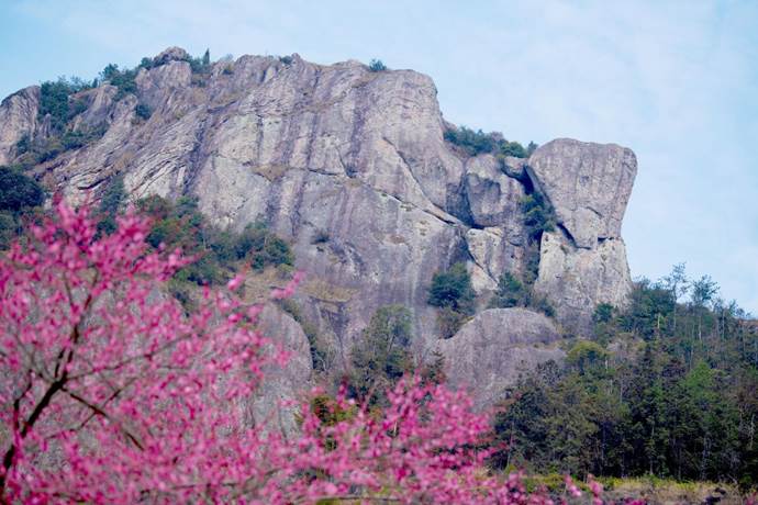 image003..jpg