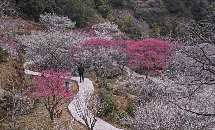 image015..jpg